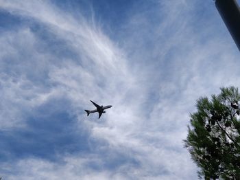 Low angle view of airplane flying in sky