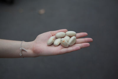 Cropped image of girl hand holding jackfruit seeds outdoors