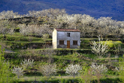 House on field by lake against trees