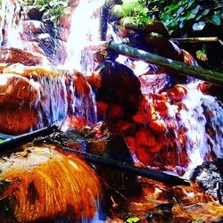 Rocks in pond