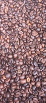 Gayo lues medium highland robusta coffee