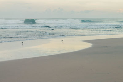 Scenic view of sea against sky at sunset