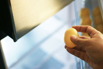 Pick chicken egg from refrigerator, eggs on shelf of refrigerator