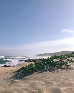 Scenic view of beach against sky