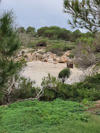 Scenic view of waterfall against sky
