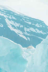 Aerial view of frozen sea