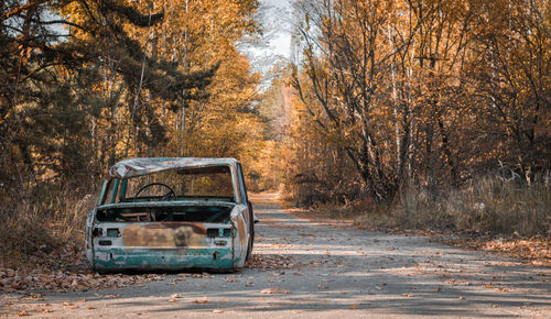 Car on road amidst trees in forest