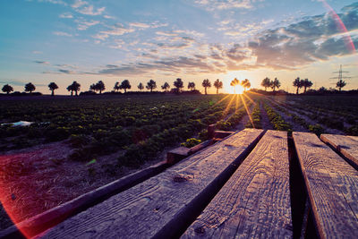 Scenic view of field against sky during sunset