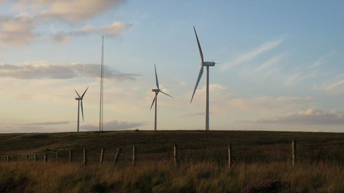 Wind turbines on field against sky