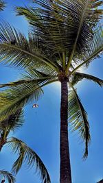 Low angle view of palm tree against sky