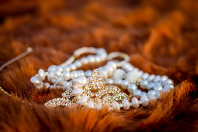 Close-up of tiara and pearl necklace on brown fur