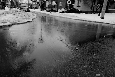 Reflection of trees in puddle