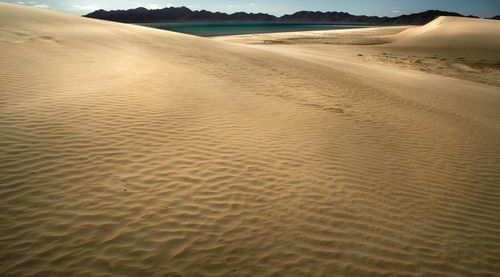 Scenic view of beach 