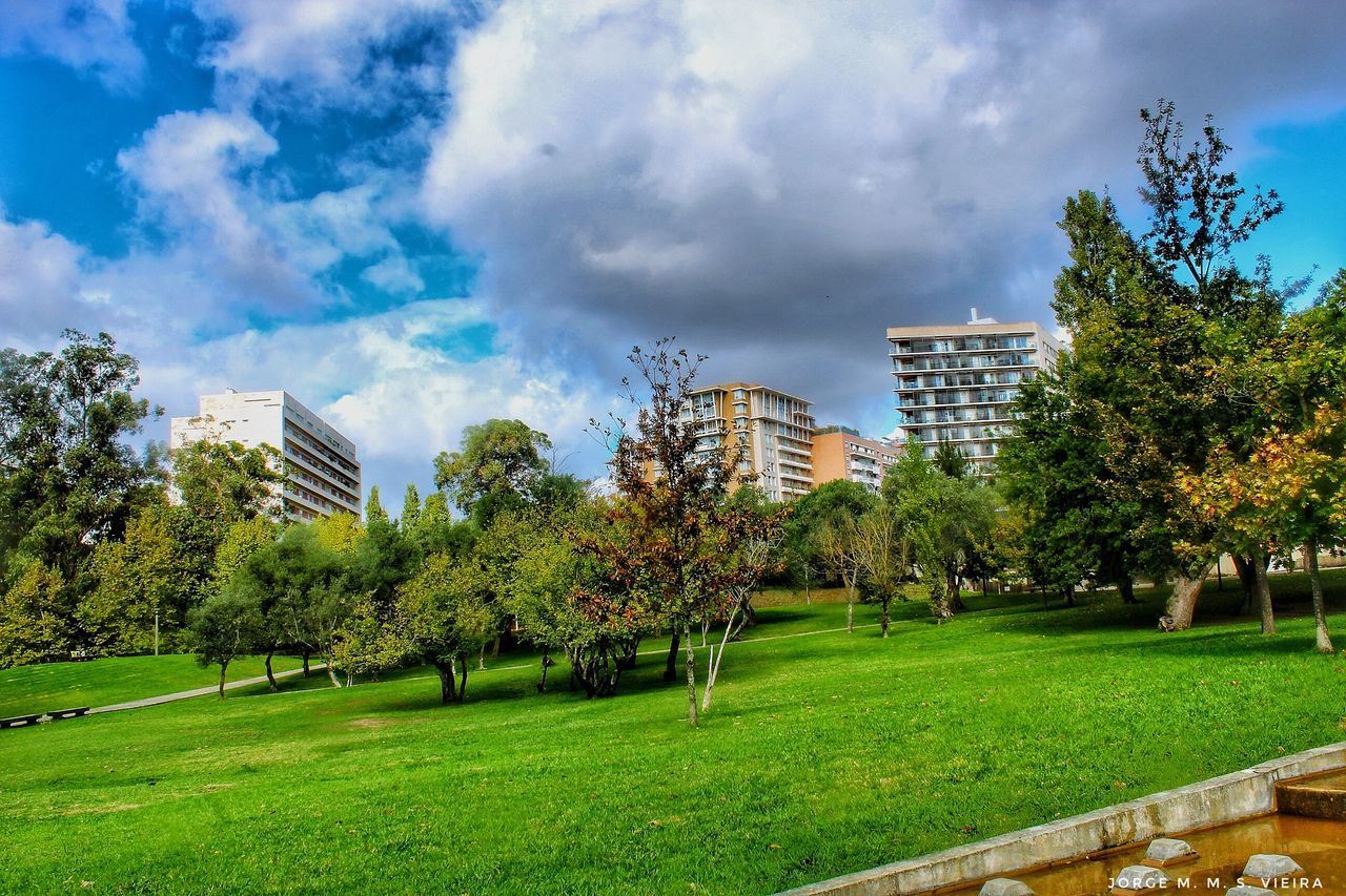 tree, growth, architecture, building exterior, grass, sky, city, cloud - sky, built structure, green color, outdoors, nature, tranquility, no people, beauty in nature, day, cityscape, residential