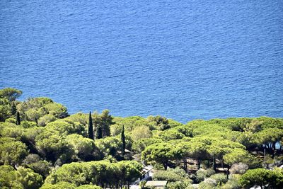 High angle view of trees against clear blue sky