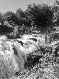 View of river flowing through forest