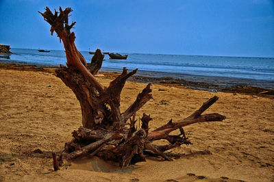 Driftwood on beach by sea against sky