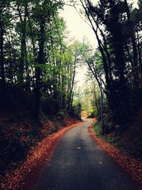 Road amidst trees in forest