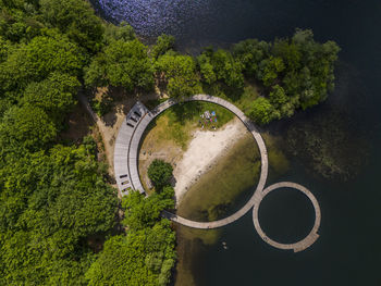 High angle view of trees in forest