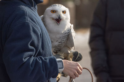 Midsection of man holding bird