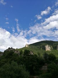 Trees on landscape against cloudy sky