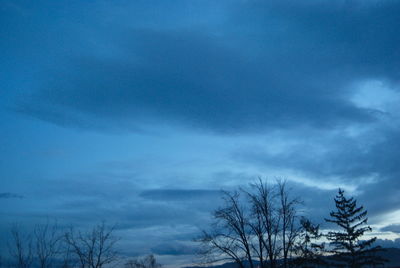 Low angle view of bare trees against blue sky