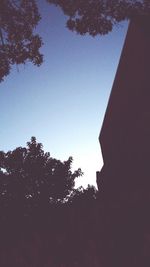 Low angle view of trees against sky