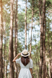 Rear view of woman standing against trees in forest