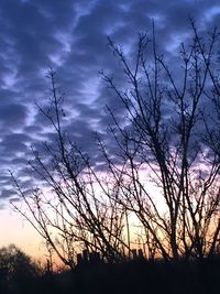 Low angle view of silhouette tree against dramatic sky