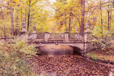 Bridge in forest during autumn