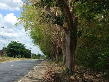 Road amidst trees against sky