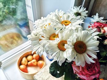 High angle view of daisy flowers on window