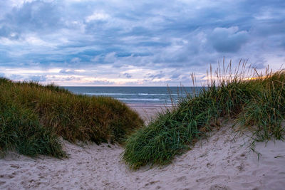 Scenic view of beach against sky