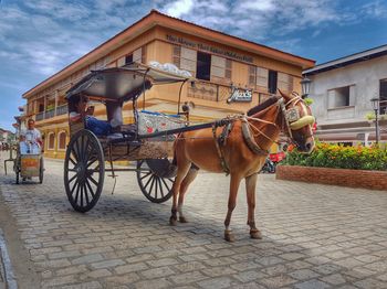 Horse cart in city