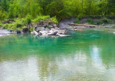 Scenic view of waterfall in forest