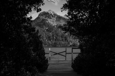 Staircase amidst trees against sky