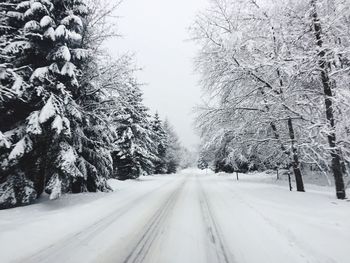 Snow covered road amidst trees against sky