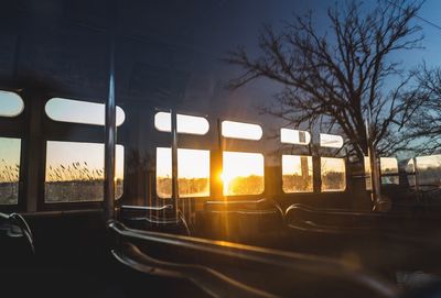 Bare trees in city against clear sky during sunset