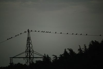 Low angle view of birds perching on cable against sky