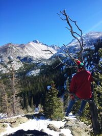 Rear view of man sitting on branch at rocky mountain national park against clear sky