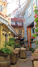 Potted plants on table by buildings in city