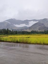 Scenic view of landscape against sky
