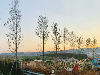 Scenic view of field against sky during sunset