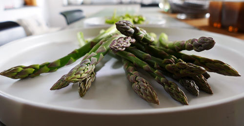 Close-up of asparagus in plate on table