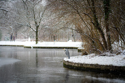 View of lake in winter