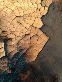 Full frame shot of cracked rock