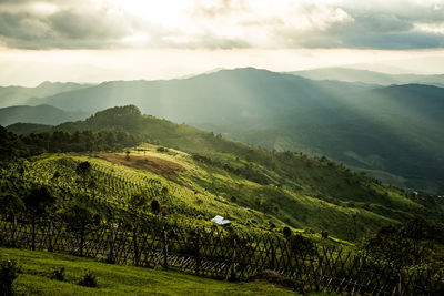 Scenic view of green landscape against sky during sunset