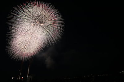 Low angle view of firework display at night