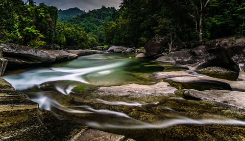 Scenic view of waterfall in forest