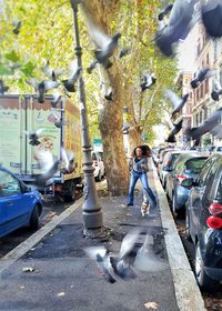 People on footpath amidst trees